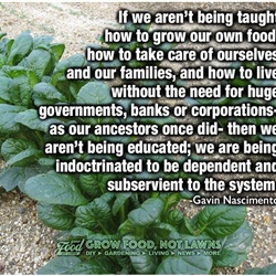 Grow your own food
