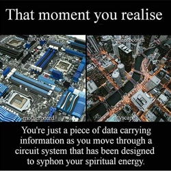 micro macro