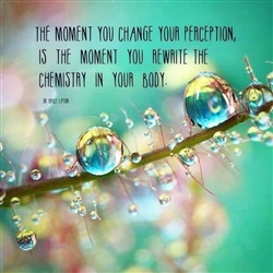 Change of perception