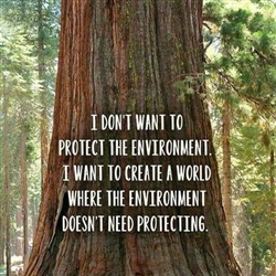 Environmental Protection