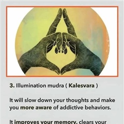 Mudra-Illumination.jpg