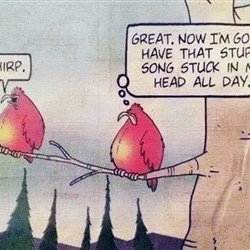 Chirp